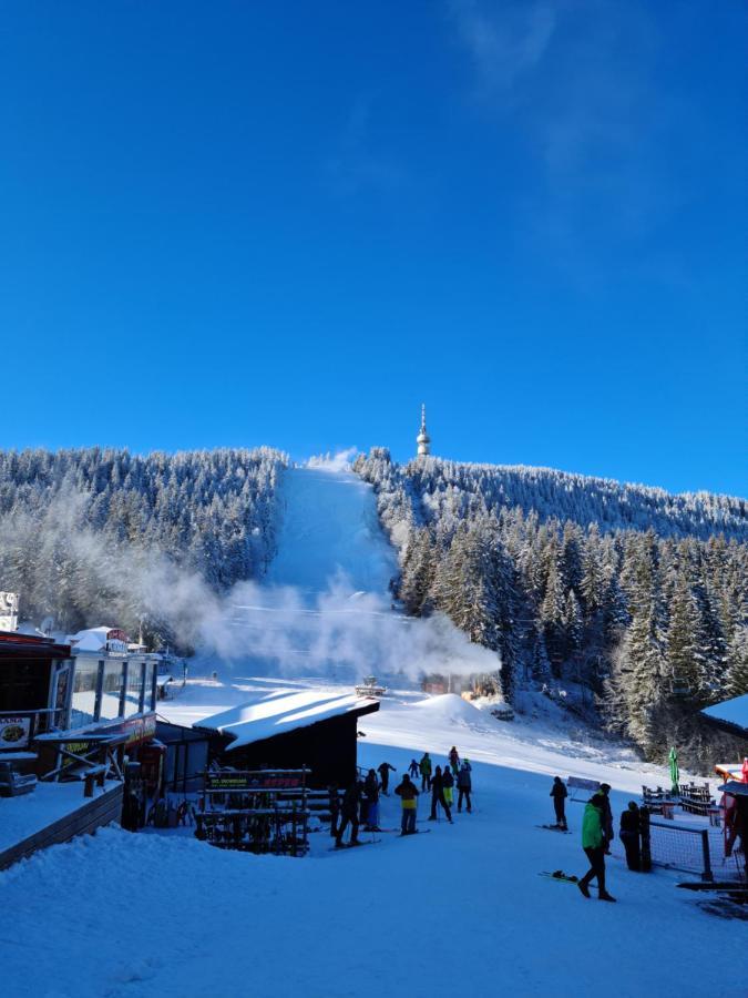 Студиа Студенец Smolyan Eksteriør bilde